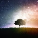 Single tree space background